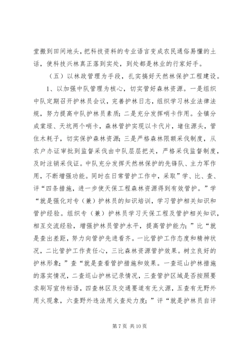 乡镇年度林业站农林工作总结.docx