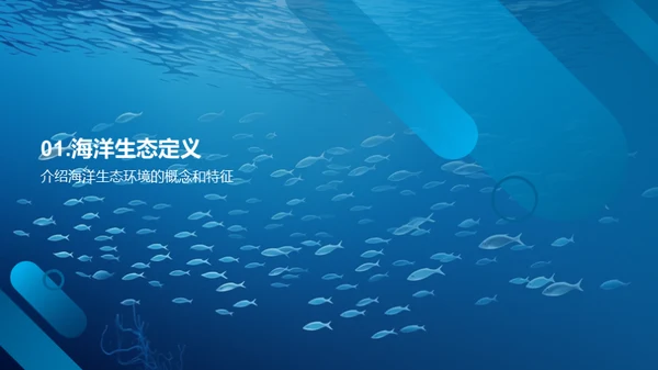 蓝色星球的生态守护