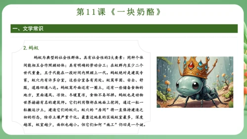 统编版2024三年级语文上册第三单元复习   课件