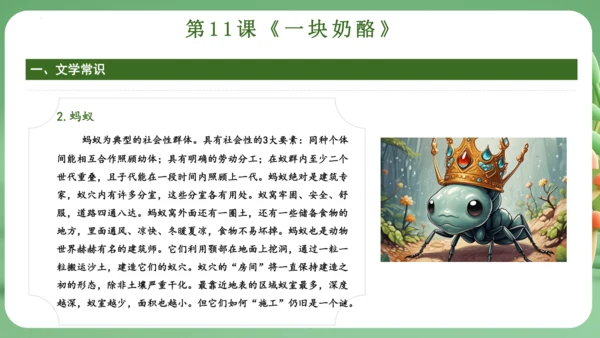 统编版2024三年级语文上册第三单元复习   课件