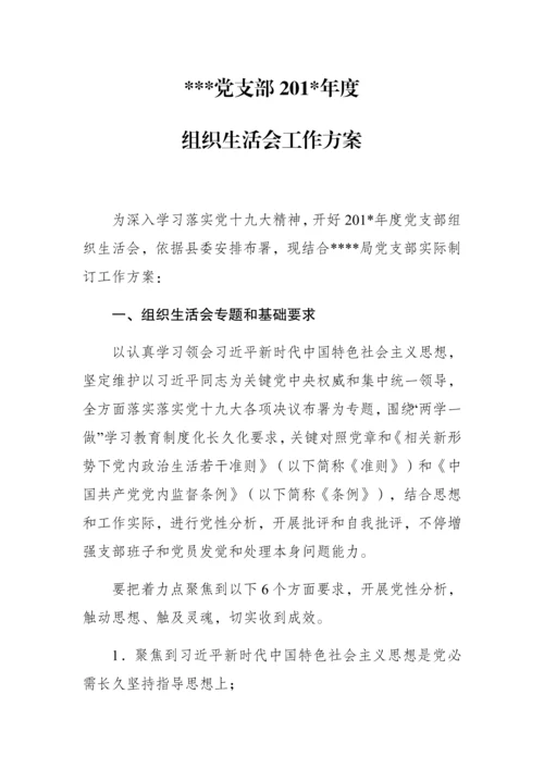 党支部组织生活会工作专业方案.docx