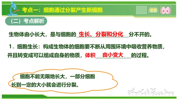 第三章从细胞到生物体（串讲课件）-七年级生物上学期期中考点大串讲（人教版2024）(共40张PPT)