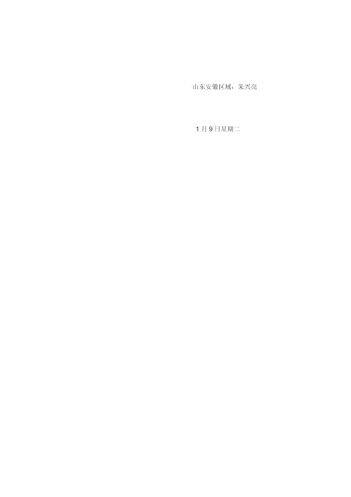 开业活动专业方案.docx