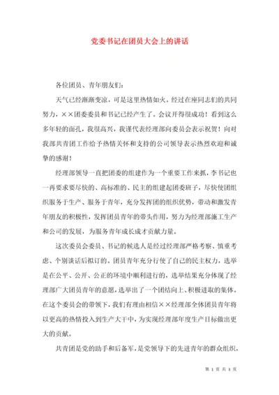 党委书记在团员大会上的讲话.docx