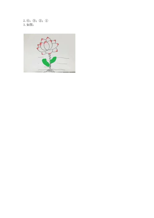 教科版科学一年级上册第一单元《植物》测试卷附答案【完整版】.docx