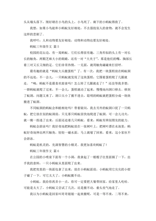 有关蚂蚁三年级作文锦集8篇.docx