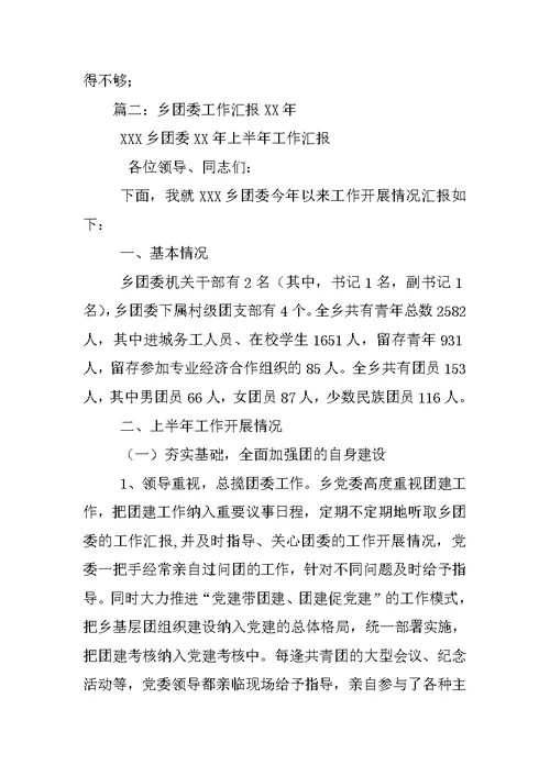 XX乡镇团委工作汇报