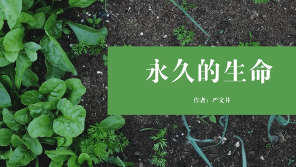 第16课 散文二篇 《永久的生命》课件