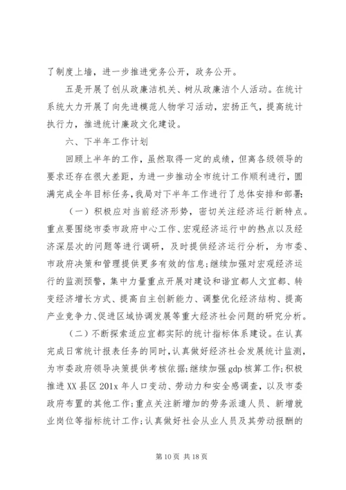 乡镇统计个人工作总结与计划.docx