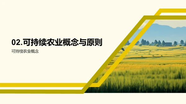 水墨风教育培训教学课件PPT模板