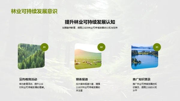 林业资源的绿色转型