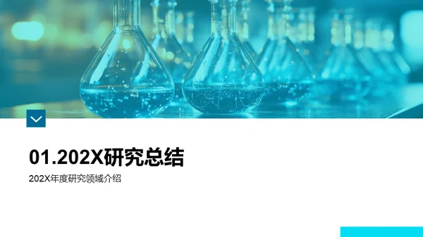202X化学研究回顾与展望