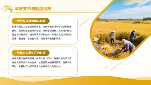 黄色商务风秋分农事活动农业培训活动PPT模板