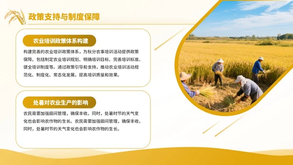 黄色商务风秋分农事活动农业培训活动PPT模板