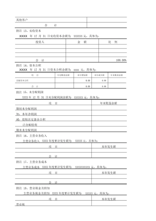 审计报告会计报的表附注说明新