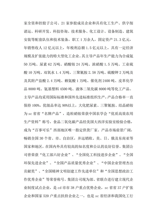 化工股份公司市场营销策划