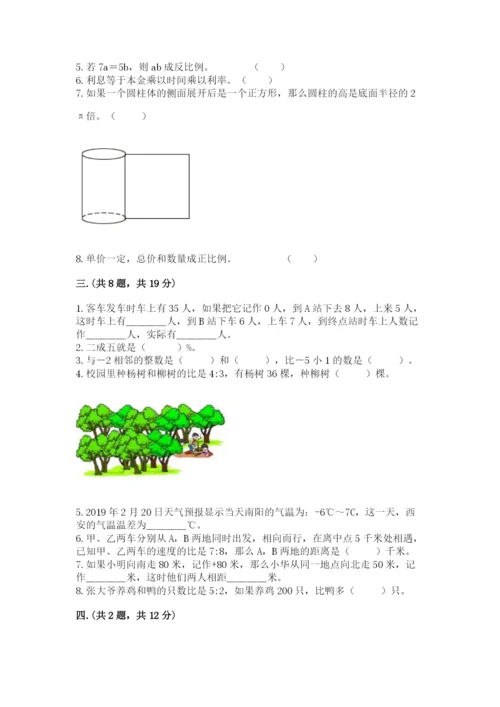 人教版数学六年级下册试题期末模拟检测卷精品【名师推荐】.docx