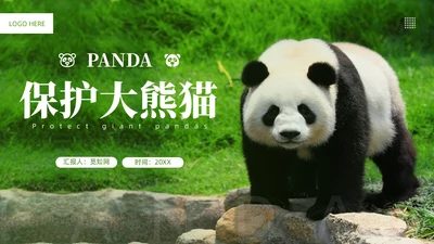 绿色实拍风保护大熊猫科普主题PPT模板