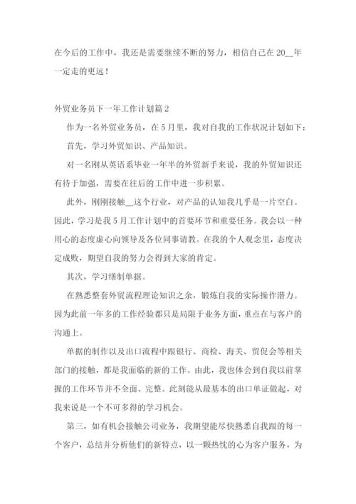 外贸业务员下一年工作计划(精选7篇).docx