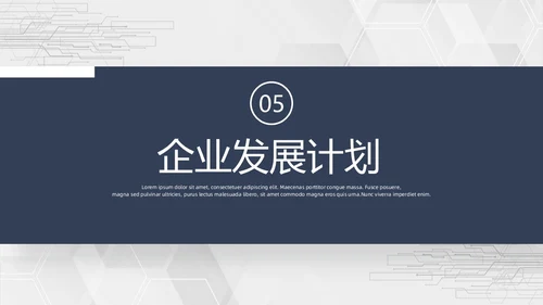 简约商业计划书PPT模板