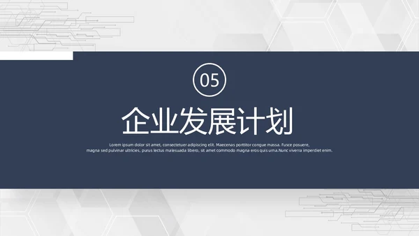简约商业计划书PPT模板