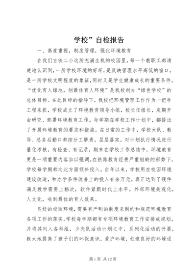 学校”自检报告 (3).docx