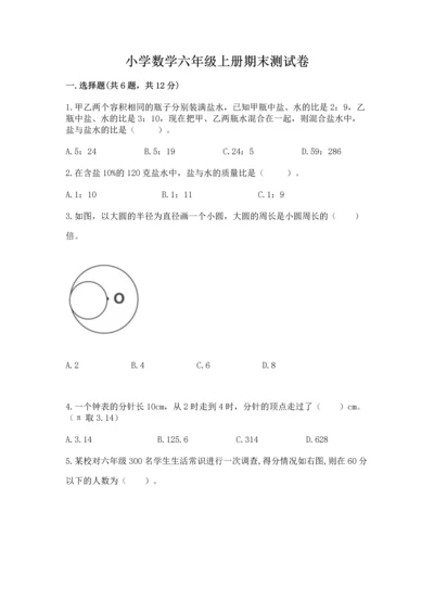 小学数学六年级上册期末测试卷含完整答案【典优】.docx