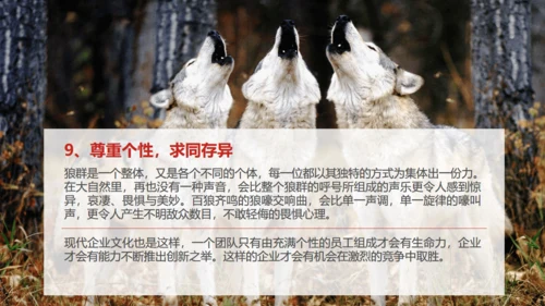 狼性文化通用PPT模板