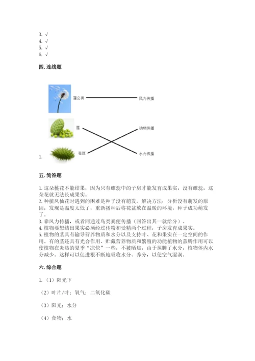 科学四年级下册第一单元《植物的生长变化》测试卷附参考答案【研优卷】.docx