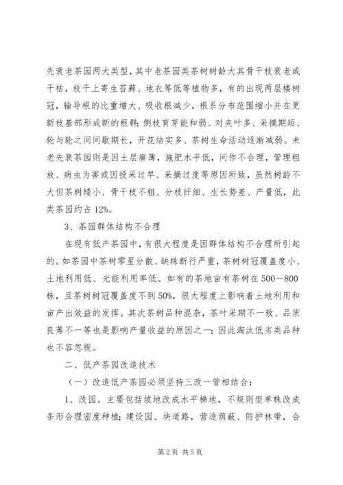 茶园改造实施方案 (2).docx