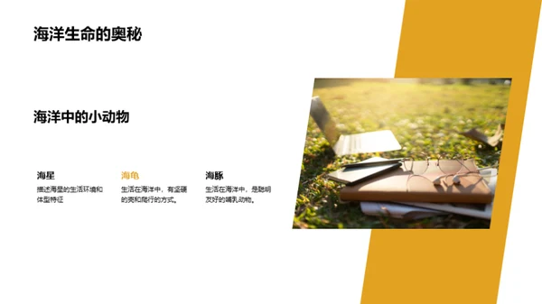 我们的小小动物园