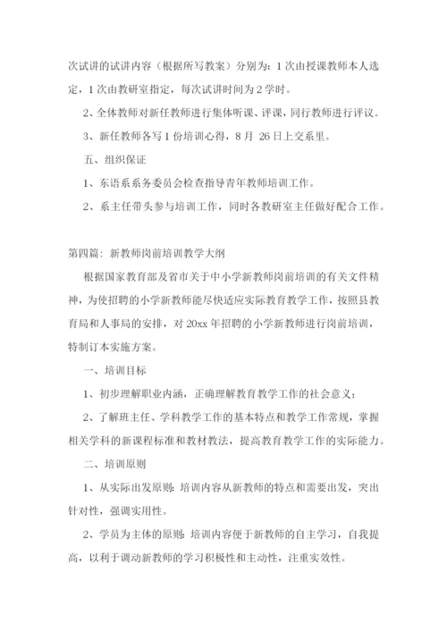 新教师岗前培训教学大纲【六篇】.docx