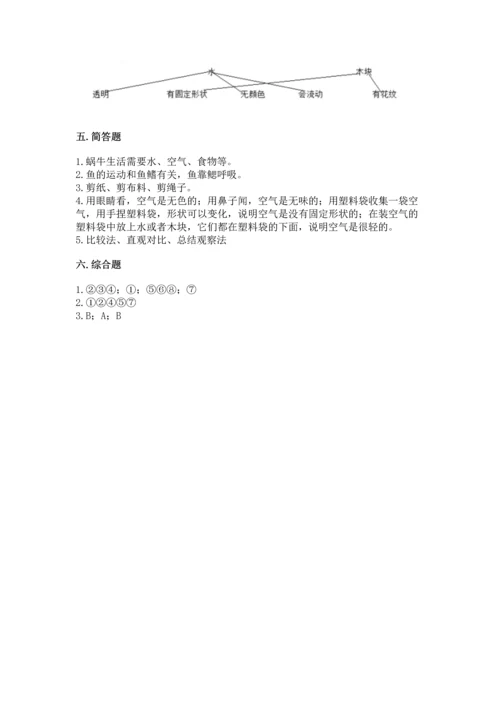 教科版一年级下册科学期末测试卷及参考答案（典型题）.docx
