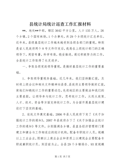 县统计局统计巡查工作汇报材料.docx