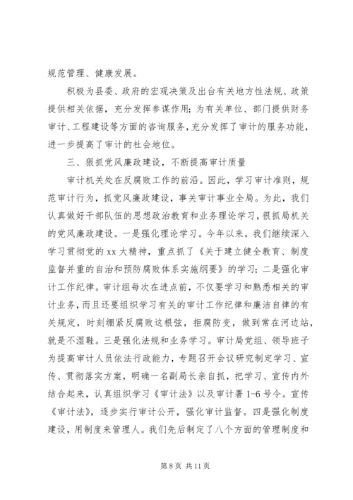 市审计局总结及年度工作规划 (3).docx