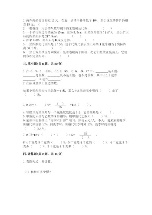 威信县六年级下册数学期末测试卷推荐.docx