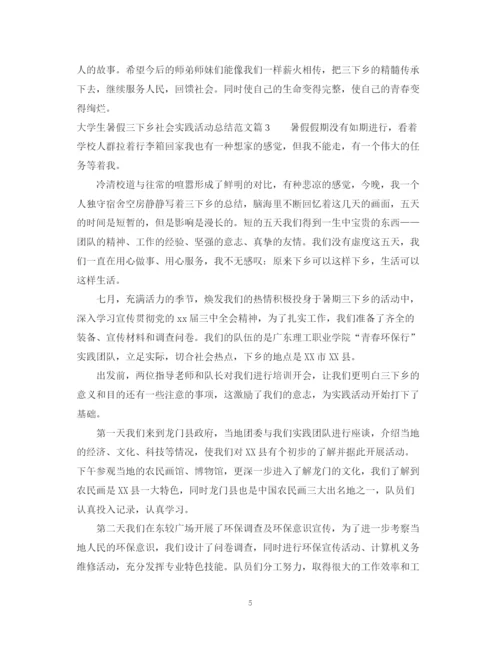 精编之大学生暑假三下乡社会实践活动总结范文.docx