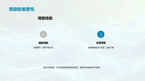 劳动技能的学习和应用