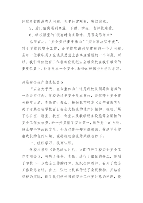 测绘安全生产自查报告.docx