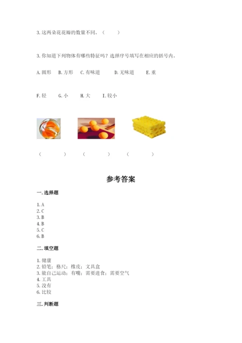 教科版一年级下册科学期末测试卷精品（达标题）.docx