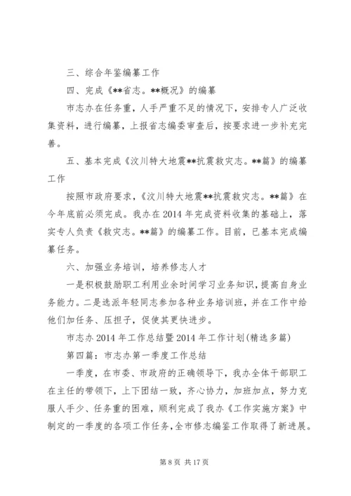 市志办XX年工作总结暨XX年工作计划(精选多篇).docx