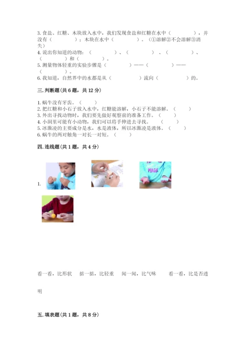 教科版小学科学一年级下册期末测试卷及答案（全国通用）.docx