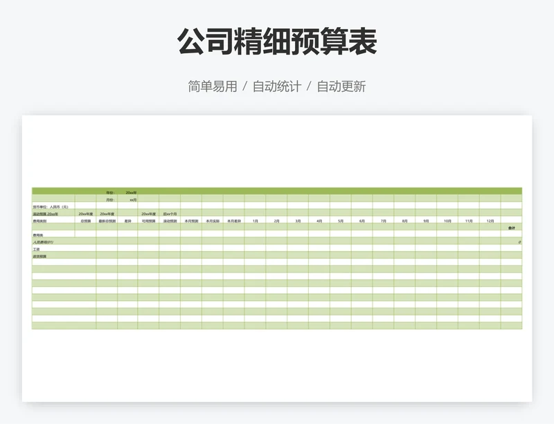 公司精细预算表