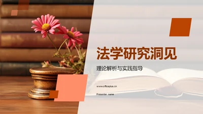 法学研究洞见