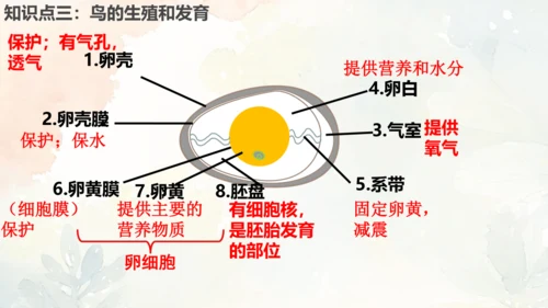 八年级下册第一章综合复习与测试课件(共16张PPT)人教版