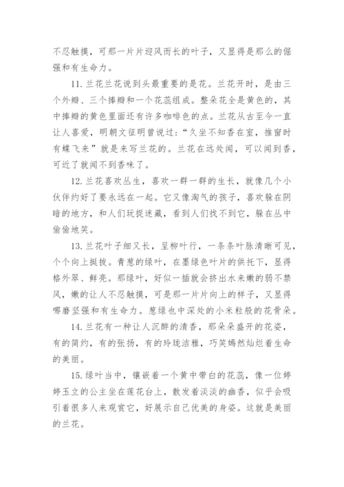 描写玉兰花的优美句子.docx