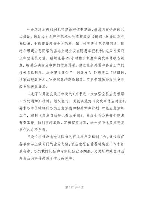 应急管理办公室工作总结及工作计划.docx