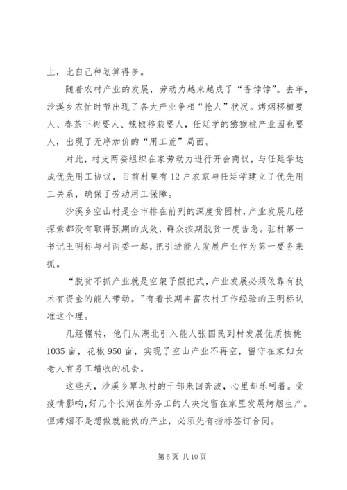 决战脱贫攻坚推进产业革命典型事迹.docx