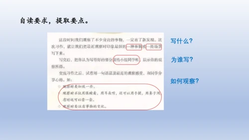 【名师课件】三年级上册语文第五单元习作：我们眼中的缤纷世界   课件