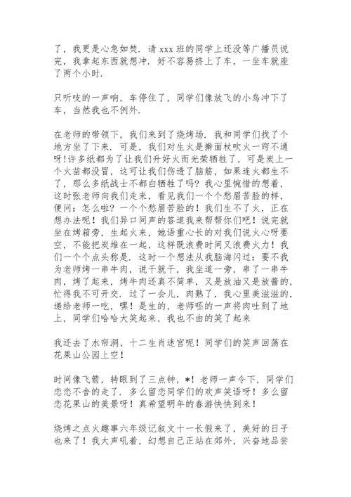 烧烤之点火趣事六年级记叙文.docx